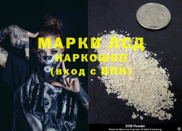apvp Аркадак