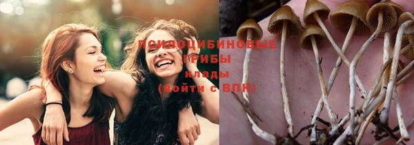 а пвп мука Арсеньев
