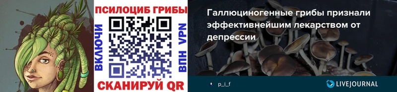 Псилоцибиновые грибы Magic Shrooms  KRAKEN ссылки  Гороховец  закладка 